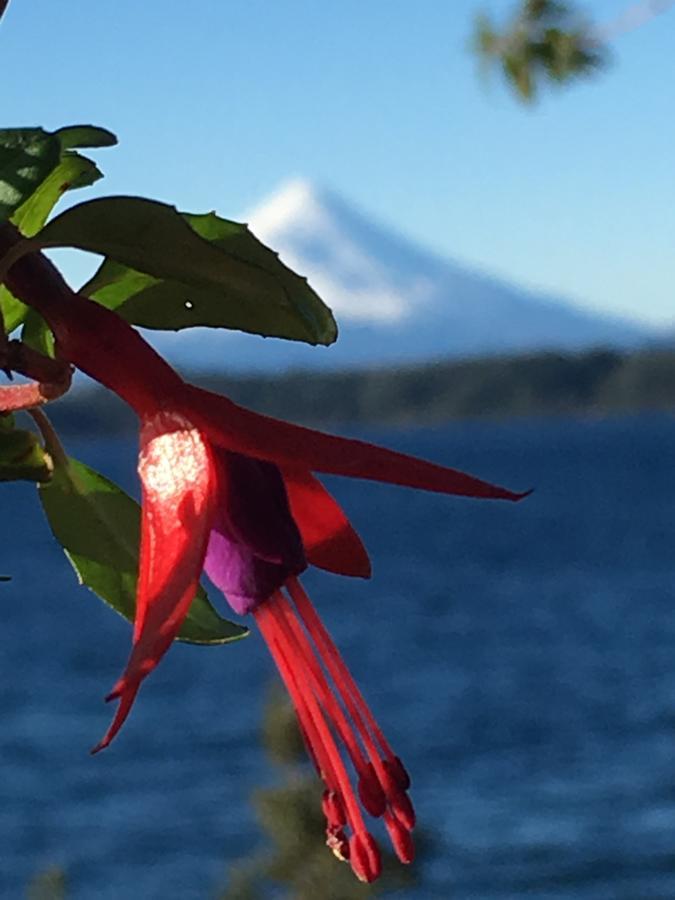 Cabanas Puerto Chalhuaco Puerto Varas Exteriör bild